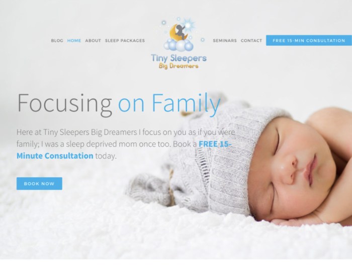 Tiny Sleepers Big Dreamers website